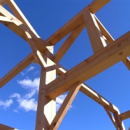 construim o casa impreuna?