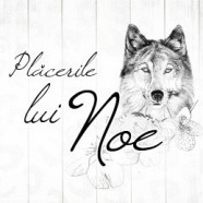 Placerile lui Noe