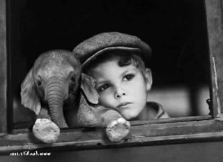 8992-boy-n-baby-elephant