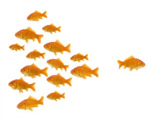 dare_to_be_different