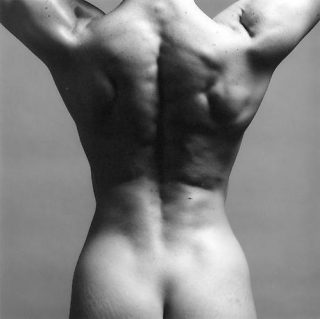 mapplethorpe