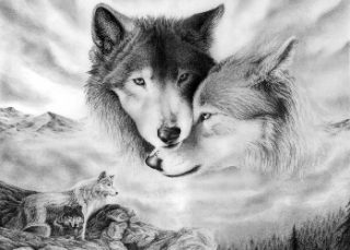 pair_of_wolves_Wallpaper_1cqhf