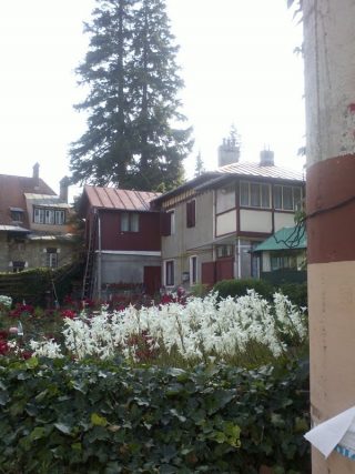 gradina