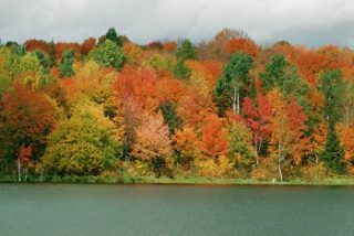 autumn_leaves_scene