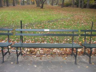 bench