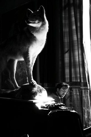 tumblr_lsvfxpaOjj1qzooxpo1_500