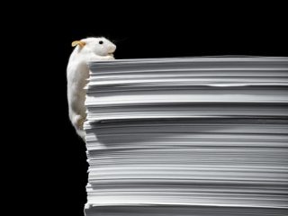 paper