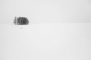 alb