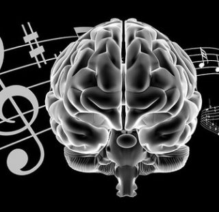 brain