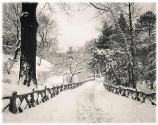 iesirea din parc