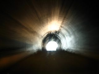 lumina