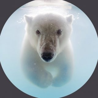 urs polar 4