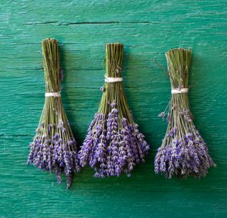 shutterstock_lavanda