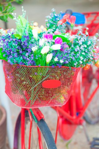 shutterstock_145412449