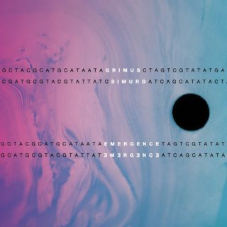 Grimus-Emergence