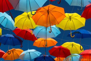 shutterstock_148092881
