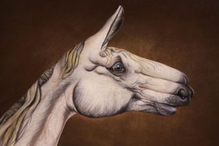 Guido-Daniele-Handimals-7