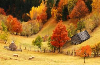 shutterstock_toamna