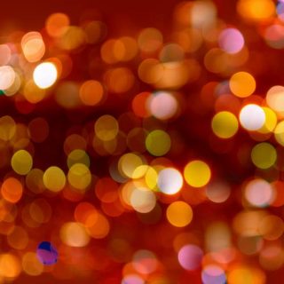 shutterstock_lumina