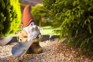 shutterstock_pitic de gradina