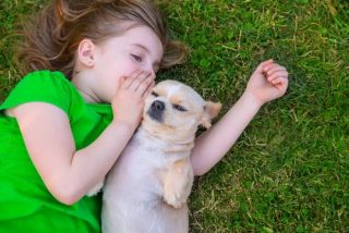 shutterstock_secrete