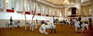 spanish riding school