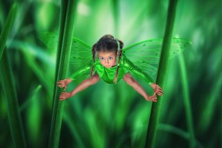 johnwilhelm02