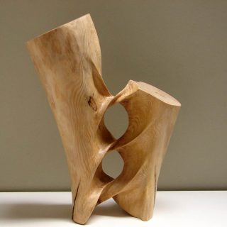 xavier-2