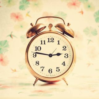 shutterstock timp