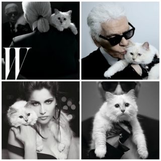 choupette_3
