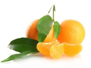 shutterstock_mandarine