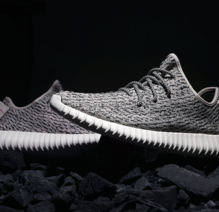 yeezy-boost-350_ah_08_didll3