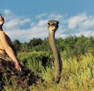 UNILAD-Header8