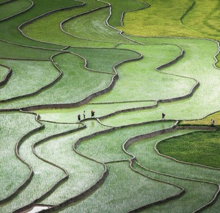 Terrace paddies in North Vietnam