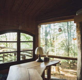 baumhaus_5301-970x647