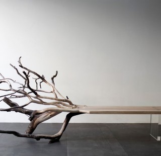 fallen-tree-bench-benjamin-graindorge-paris-1__880