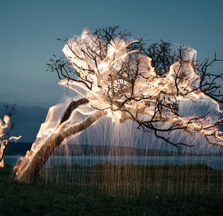 light-1