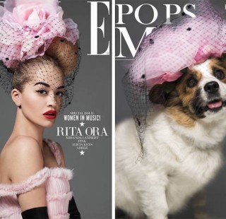modeldogs6