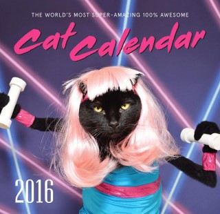 Kate-Funk-Cat-Calendar-2016-14