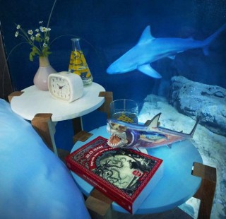 sharkairbnb6-900x600