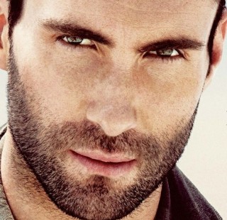 Adam Levine biography
