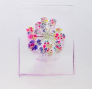anne flori pigmenti