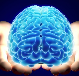 brain-transplant