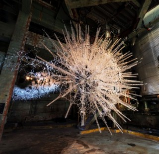 astrocyte arhitectura vie