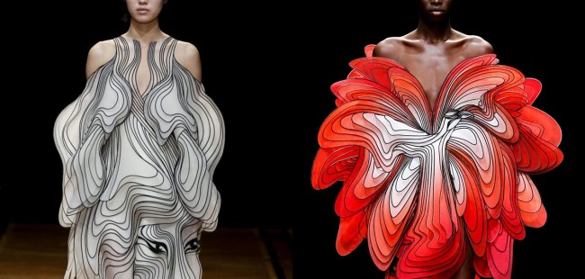 iris-van-herpen-spring-2019-paris-couture 1