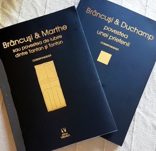 cover brancusi