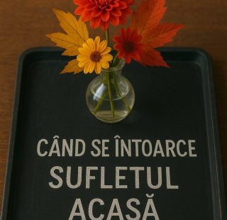 cover sufletul acasa