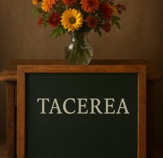 tacerea cover