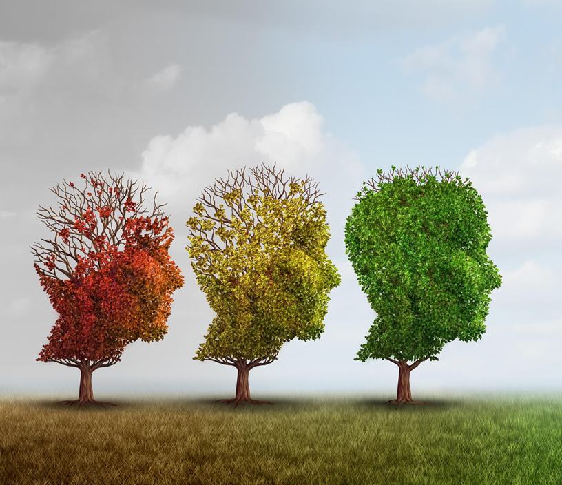 Dementia treatment and Alzheimer brain memory disease therapy concept as old trees recovering as a neurology or psychology cure metaphor with 3D illus